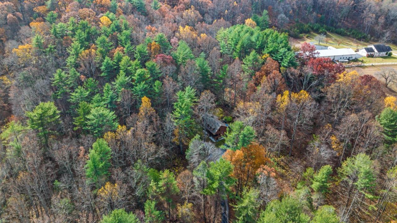 Sleepy Hollow 5Br Cabin - National Park 7 Min, Hot Tub, Fire Pit, Sleeps 12 Luray Exteriér fotografie
